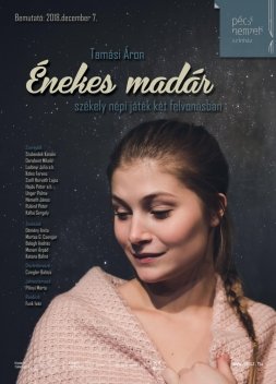 Énekes madár Énekes madár