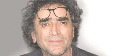 Vers-fészek