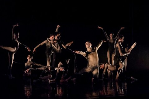White Swan – Az Izrael Balett előadása