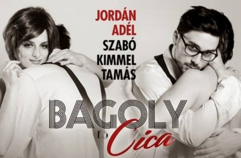 Bagoly és cica