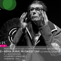 Béka-királykisasszony