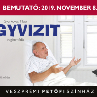 Nagyvizit